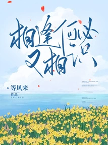 Why Meet Again and Get Acquainted Again?