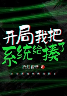 I Beat the System at the Beginning