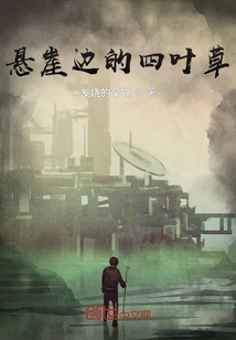 Four Leaf Clover on the Cliff