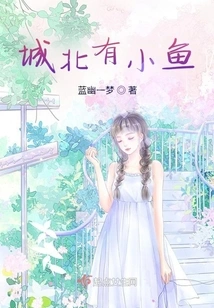 There Are Small Fishes in the North of the City