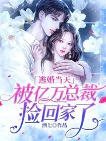 On the Day I Escaped from My Wedding, I Was Picked up and Taken Home by a Billionaire Ceo