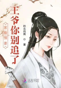 There is a Fierce Wife at Home: Prince, Please Stop Chasing Her