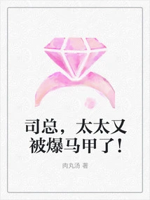 Mr. Si, My Wife's Vest Was Exposed Again!