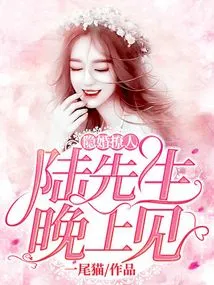 Hidden Marriage is Sexy: See You in the Evening, Mr. Lu