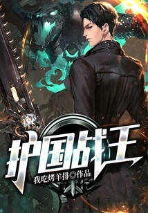 Protector of the Country War King