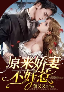 It Turns Out That My Beloved Wife is Not Easy to Mess With