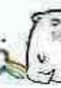 Mountains and Rivers on the Palm of Your Hand