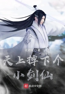 A Little Sword Fairy Fell from the Sky