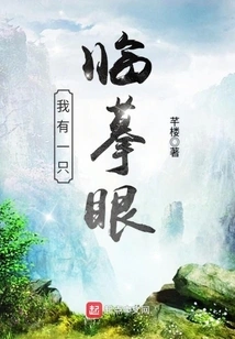 I Have a Copying Eye