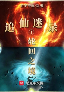 Chasing Immortals: the Realm of Reincarnation