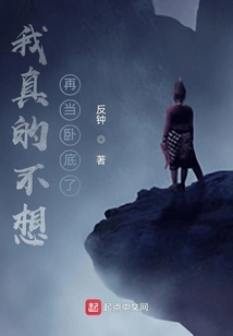 I Really Don't Want to Be an Undercover Agent Anymore