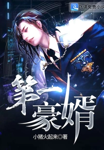 The First Wealthy Son-in-law