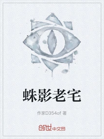 Spider Shadow Old House