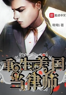 Reborn as a Lawyer in the United States