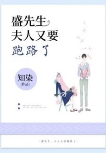 Mr. Sheng, Madam is Running Away Again