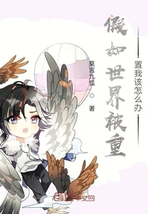 What Would I Do If the World Was Reset?