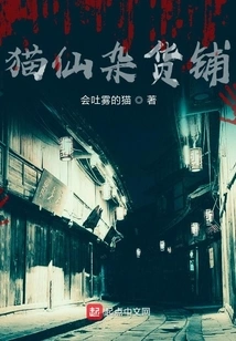 Cat Fairy Grocery Store