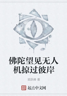 Buddha Saw a Drone Flying over the Other Shore