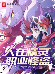 Human in Elf, Professional Phantom Thief