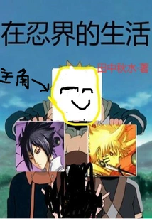 Life in the Ninja World