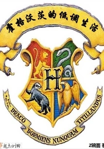 Low-key Life at Hogwarts