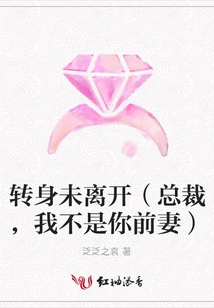 Turned Around but Did Not Leave (president, I Am Not Your Ex-wife)