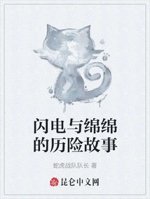 The Adventure Story of Lightning and Continuous