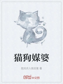 Cat and Dog Matchmaker