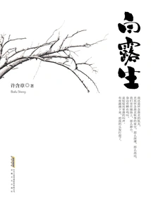 Bai Lusheng