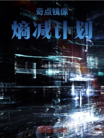 Singularity Mirror: Entropy Reduction Plan