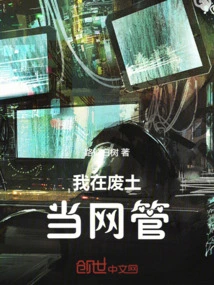 I Work as a Network Administrator in the Wasteland