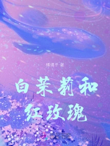 White Jasmine and Red Rose