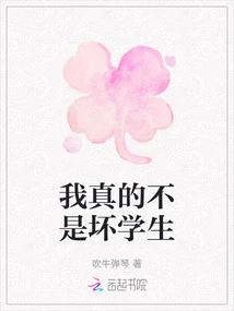 I'm Really Not a Bad Student