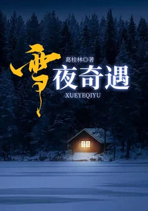 Adventure on a Snowy Night