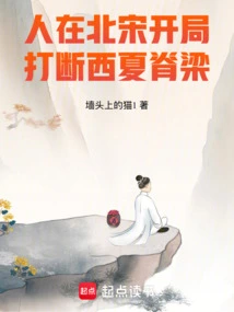 He Was Born in the Northern Song Dynasty and Broke the Backbone of Xixia at the Beginning!