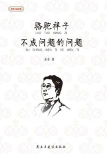 Luotuo Xiangzi·no Problem