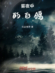 White Dove in Foggy Night