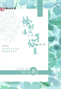 The Breeze is Waiting for You at the Right Time