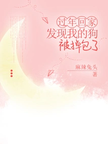 I Went Home During the Chinese New Year and Found That My Dog ​​had Been Stolen