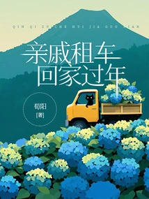 Relatives Rent a Car to Go Home for the New Year