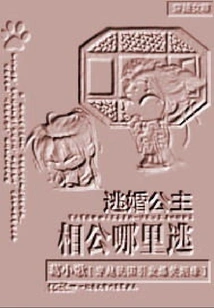 Princess Who Escaped from Marriage: Where Did Her Husband Escape?