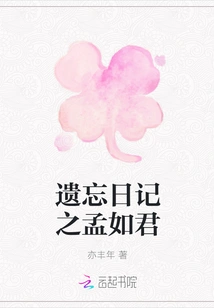 Forgotten Diary: Meng Rujun