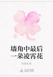 The Last Soaring Flower in the Corner