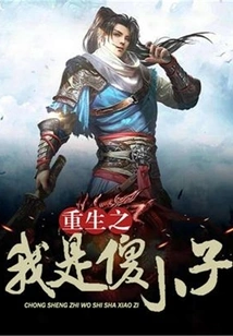 Rebirth: I Am a Stupid Boy