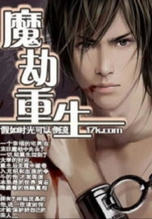 Demonic Calamity Rebirth