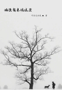 She Has Never Been Here