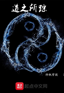 The Trace of the Road