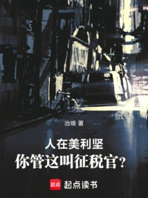 In America, You Call This a Tax Collector?