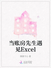 When Mr. Accountant Meets Excel