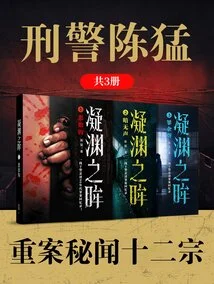 Detective Chen Meng: Twelve Secrets of Serious Cases (3 Volumes in Total)